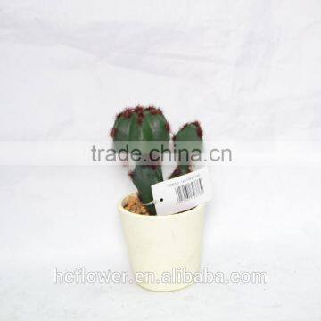 Artificial Cactus planted in round ceramic for decoration