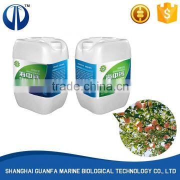 Best price superior quality tomato fertilizer