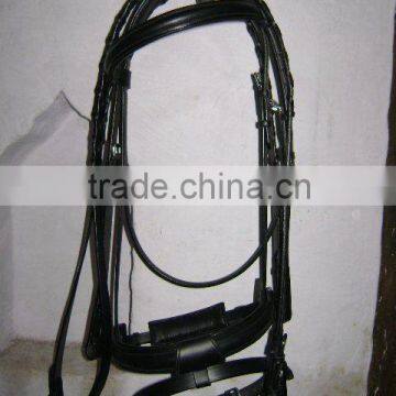 Bridle