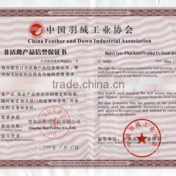 White Goose Down Quilt for Home photo-3