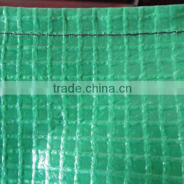 clear waterproof light duty leno tarpaulin scaffold cover/nets