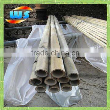 Bamboo pole for support tree 10' X50/60mm