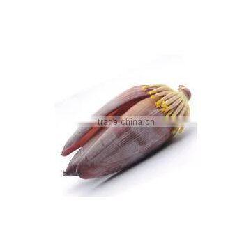 Banana Flower Exporters