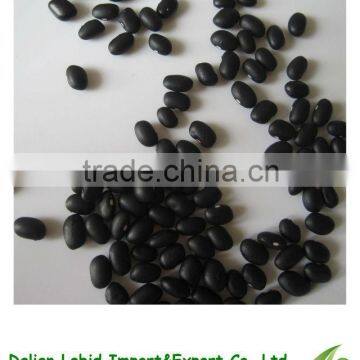 New Arrival China Cooking Black Kidney Beans