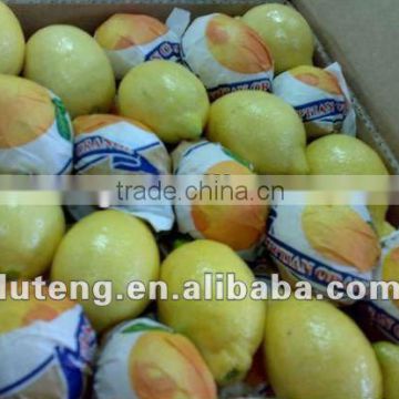 for European market navel orange