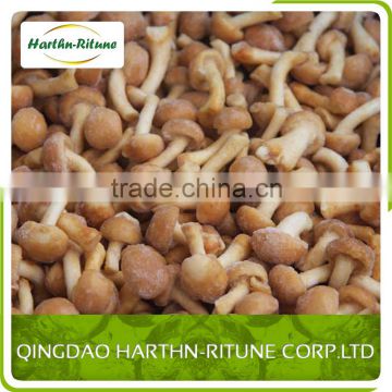 Best selling High Quality Low Price Frozen Nameko