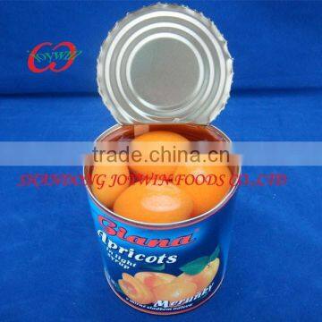 Cheap price Canned fruit in syrup, canned apricots halves/half in light syrup