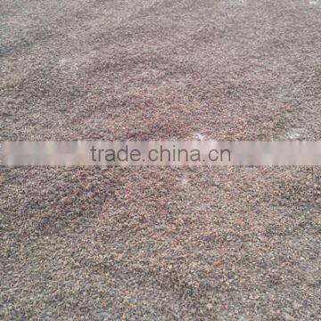 Common Quality Low Offer Star Anise