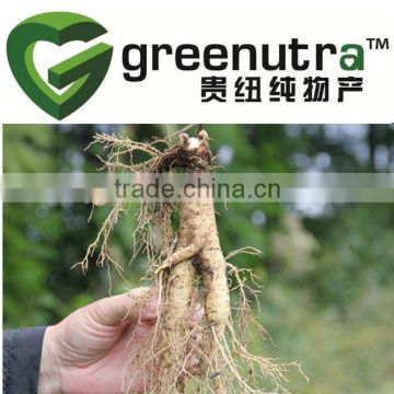 White Ginseng Powder