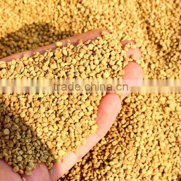 Wholesale Bee Pollen Prices Bee Pollen Pollen photo-2