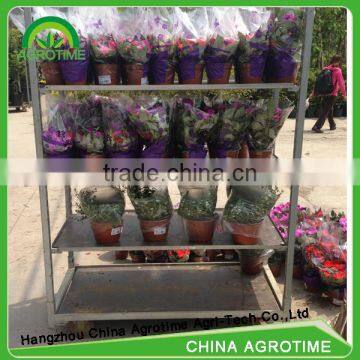 Agrotime Flower Carts for Sale/trolley Used in Greenhouse photo-4