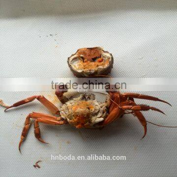 Crabs Continouous Microwave Cooker