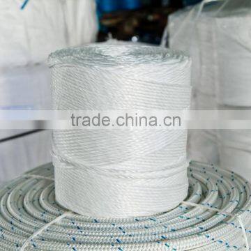 Baler Twine photo-6