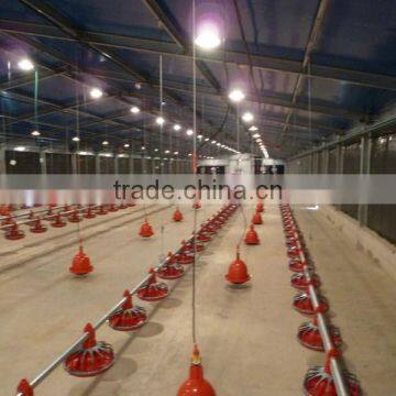 125x21x2.5m Light Steel Structure Chicken House in Middle East photo-5