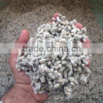 Cotton Seeds / Animal Feed / Cotton