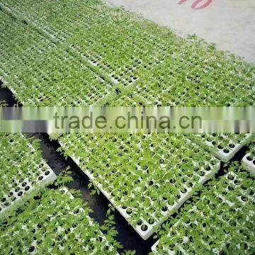 Hydroponic Seeding Growing Sponge for Vegetables photo-3