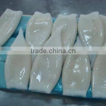 Hot Sale High Quality Frozen Seafood Squid Tube photo-2