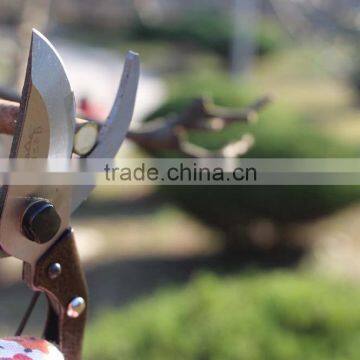 Round Blade Razor Sharp Garden Clippers, Tree Trimmers, Secateurs and Steel Bypass Pruner