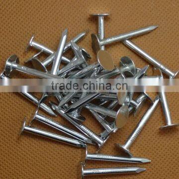 Hardboard Nails photo-2