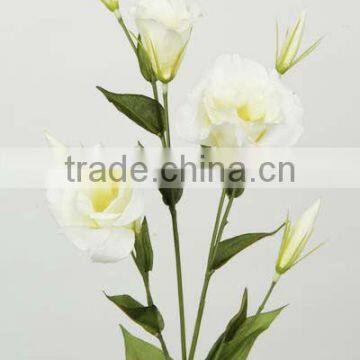 hawaiian flower for lover animated flower lisianthus