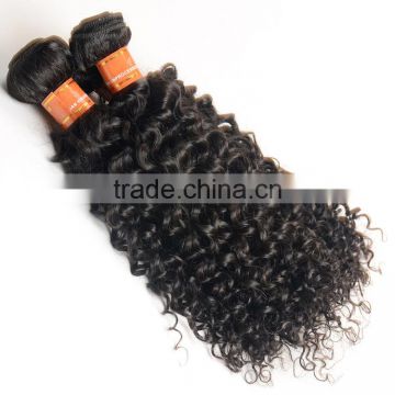 8A Grade Unprocessed Wholesale Virgin Brazilian Hair Wholesale Kinky Curly Brazilian Human Hair Weaves Extension