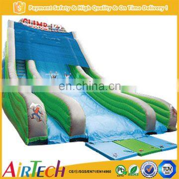 children and adults outdoor inflatable giant slide for sale