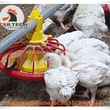 Colombia Poultry Farming Equipment Broiler Floor Raising System & Chicken Deep Litter System with Automatic Drinking & Feeding Pan System in Chicken Coop