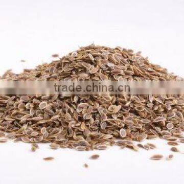 DILL SEED