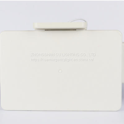 Twin-spot Emergency Light photo-4