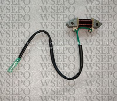 Lighting Coil Fits for YAMAHA Hidea Parsun 40f 40HP 2-Str. Outboard Marine Engine Parts