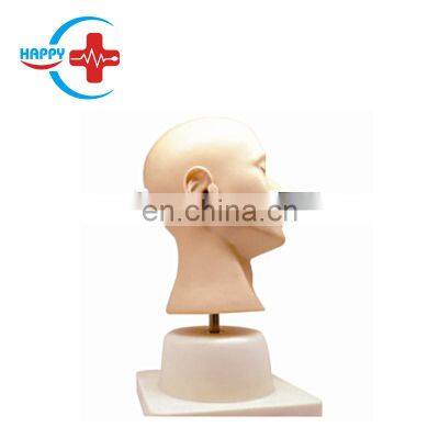 HC-S556 Advanced ear diagnosis model/Medical Examination Ear Model /Medical practice model of ear simulation