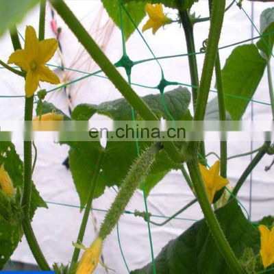 Plant Support Vine Climbing Garden Trellis Netting Grow Tent Trellis Net Mesh