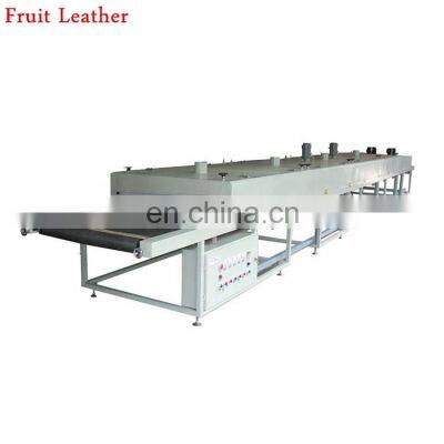 Fruit Leather/Fruit Bar Production Line