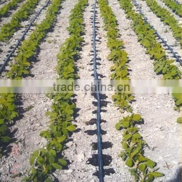 16mm Agricultural Plastic Irrigation Pipe