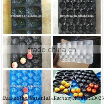 PE/PS/PP/PET/PVC plastic fruit transportation packaging tray with many holes