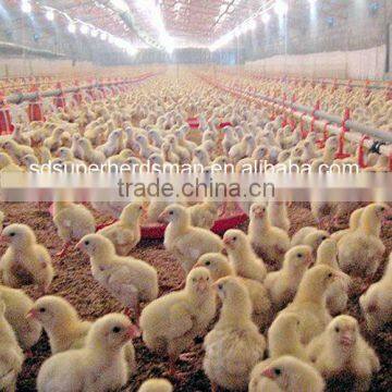 Full Set High Quality Automatic Poultry Farm Equipment for Broiler Poultry Farm House