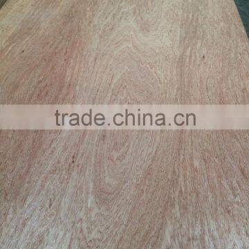 Commercial Plywood photo-3