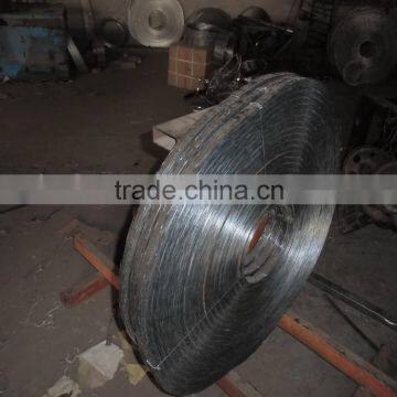 High Quality Security Single CBT-65 Iron Razor Barb Wire for Sale photo-4