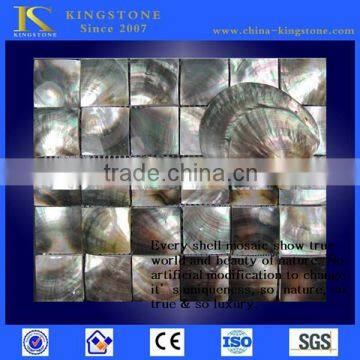 Manfacturer genuine shell mother of pearl Wholesaler Price