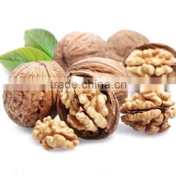 Organic High Quality Walnuts