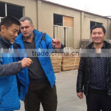 Construction Material Hardwood Plywood With Poplar Made in China photo-6