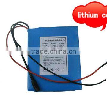 Shenzhen 36V dc rechargeable battery pack 10ah