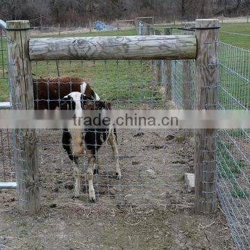 Field fence