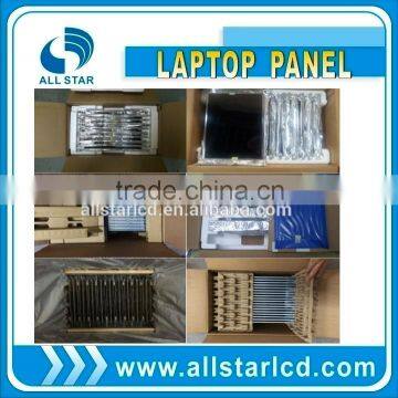 edp 30pins matte replacement panel CLAA102NA01CW