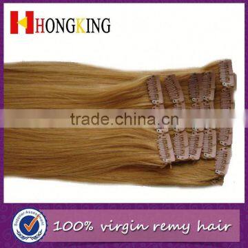 100% Virgin Brazilian Clip In Hair Extension For EU