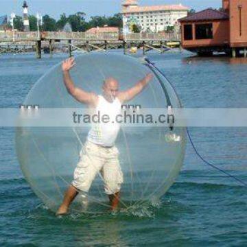 transparent water zorb ball