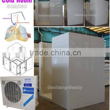 Standard Freezer Room DCWF-15 to Store Meat,chicken and Fish photo-2