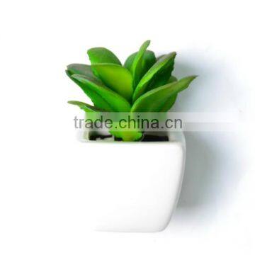 Artificial Mini Succulent Plants with square white pot