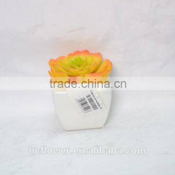 Mini Artificial succulent plants with plastic pot for indoor decoration