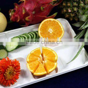 Biodegradable Compostable Disposible Bento Box